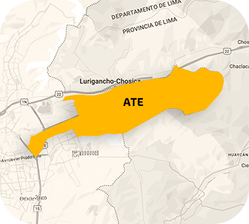 Ate